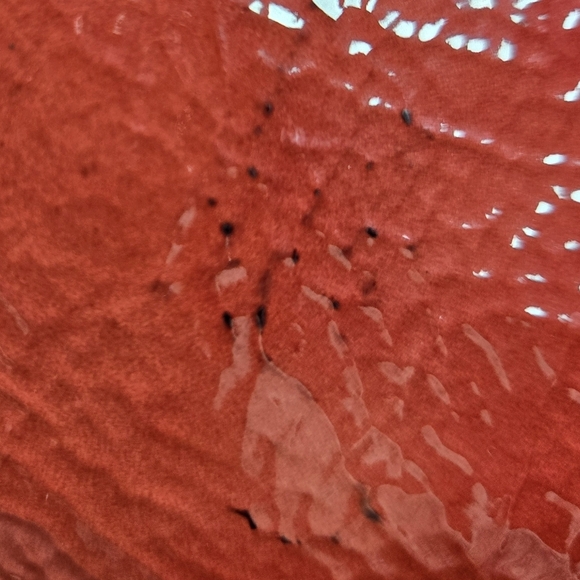 Coach Red Shoulder Bag with Luxurious Hobo Style - Picture 12 of 13